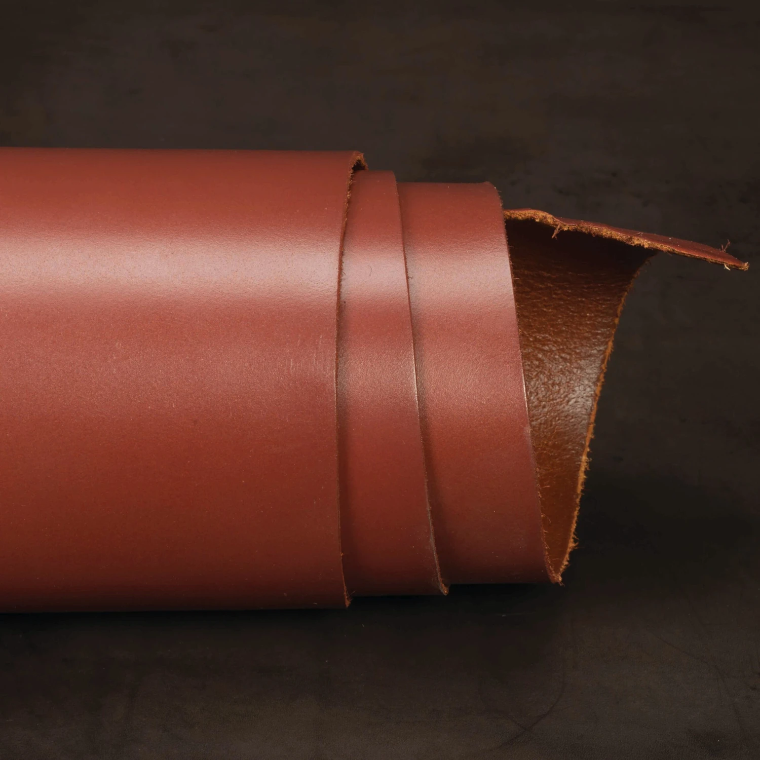 Finished Double Shoulders 3 Finished Double Shoulders - Image 3