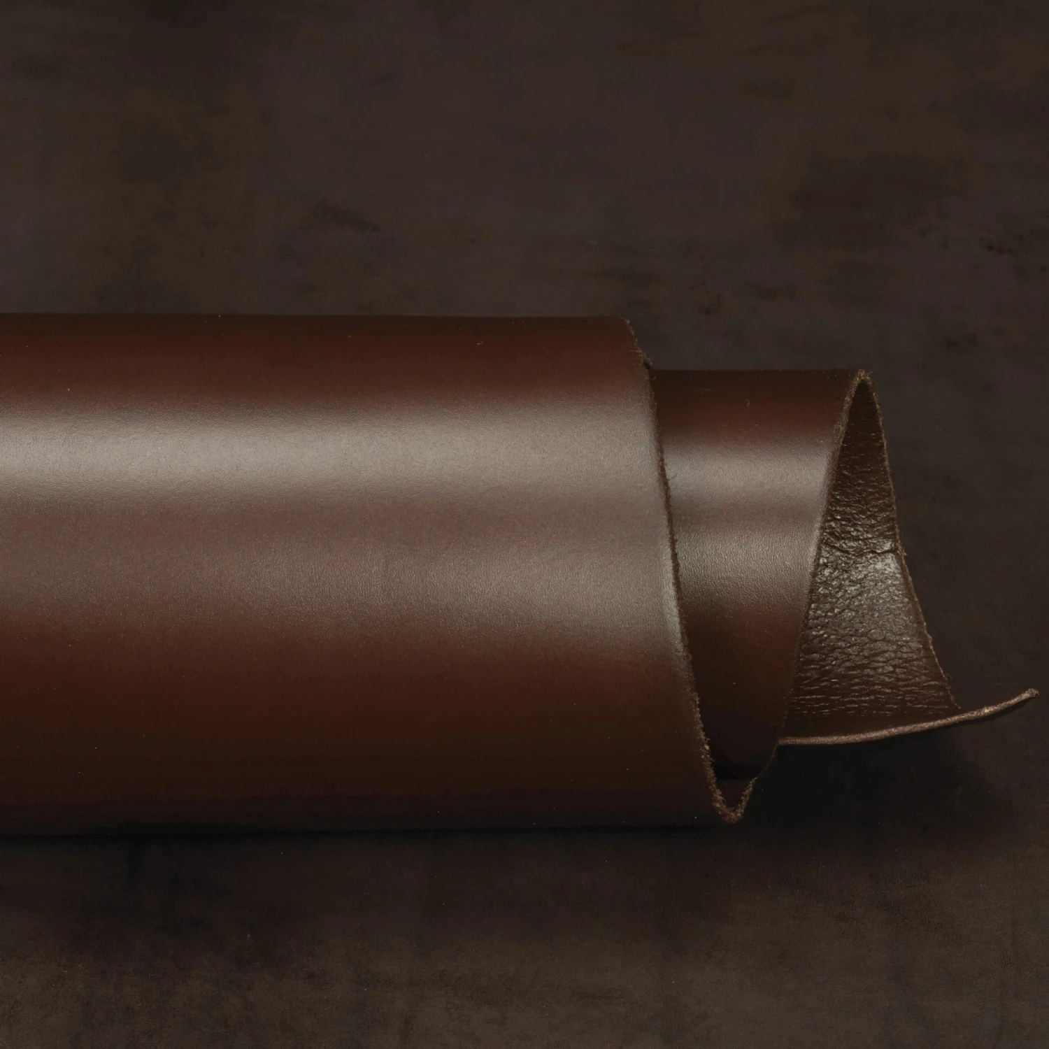 Finished Double Shoulders 4 Finished Double Shoulders - Image 4